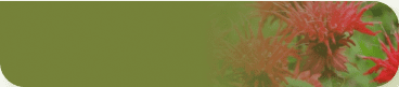 Citromsav (Citric acid)